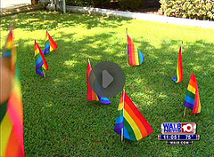 Rainbow flags