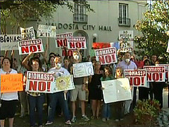 Protesters at City Hall