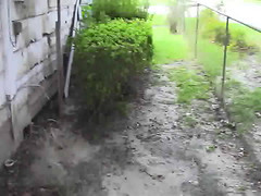 No grass