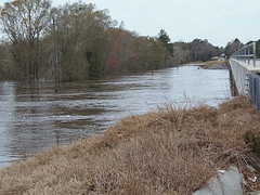 27 Feb 2013 Withlacoochee River @ GA 122