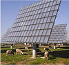 Figure 6: Solar Sheep (Concentrix Solar PV concentrator plant)