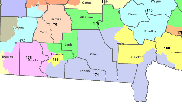 Georgia House districts in south Georgia, 2012 elections