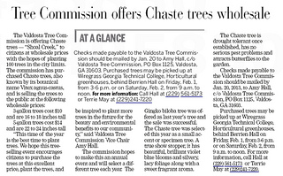 Tree Commission offers Chaste trees wholesale