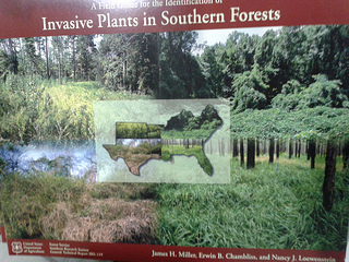 A Field Guide for the Identification of Invasive Plants in Southern Forests