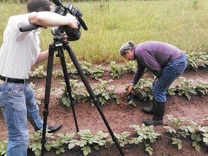 300x225 Potato under here, in Valdosta Farm Days â??Gretchen on WALB, by John S. Quarterman, for Lowndes Area Knowledge Exchange (LAKE), 2 May 2014