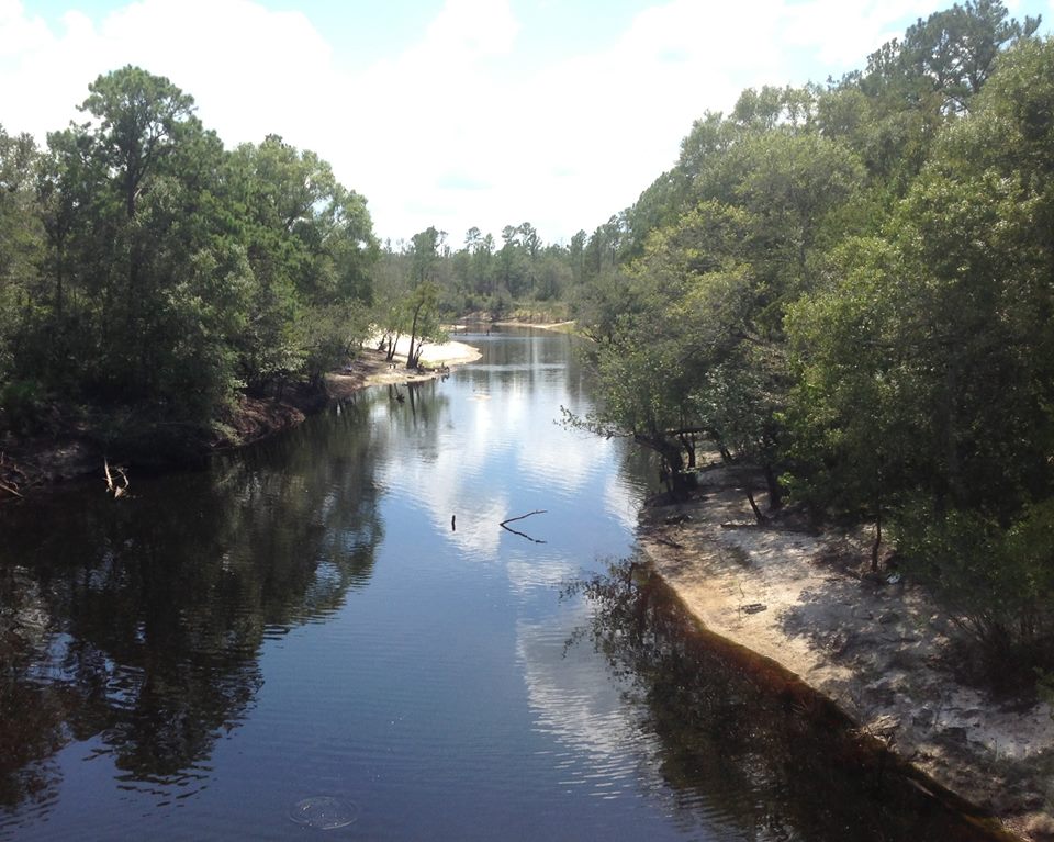 960×767 Alapaha River, in Alapaha River Cleanup US 82, by Bret Wagenhorst, 27 September 2014