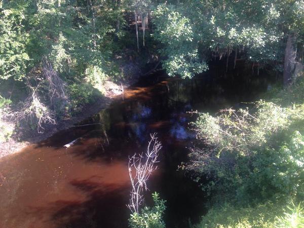 600x450 Very Red, in Alapahoochee River, by April Huntley, 1 September 2014