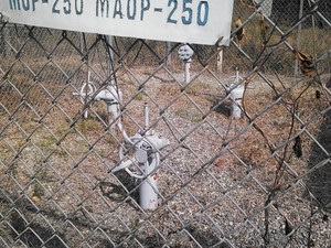 300x225 Valves closeup, in Berrien break, by John S. Quarterman, 6 November 2014