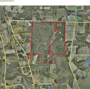 300x298 Parcel 0043 016, in Buck Cato Road, by John S. Quarterman, 22 June 2015