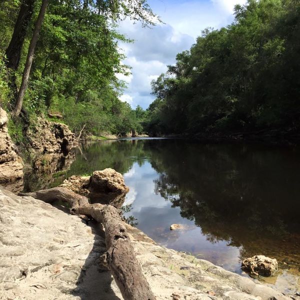 600×600 Near Jennings, FL, in Exploring the Alapaha River, by Julie