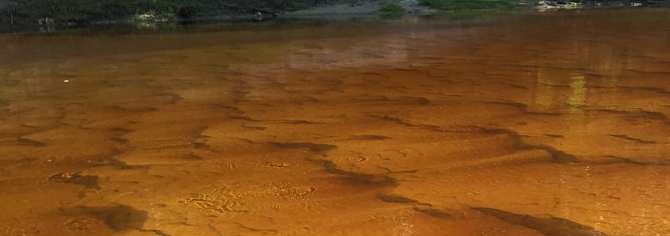 960x339 Cleanup at GA 135 south of Willacoochee, in Alapaha River tea color over sand, by Bret Wagenhorst, 26 September 2015