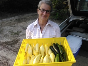 Yellow squash and zuchinni