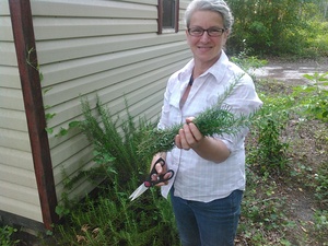 Rosemary for market