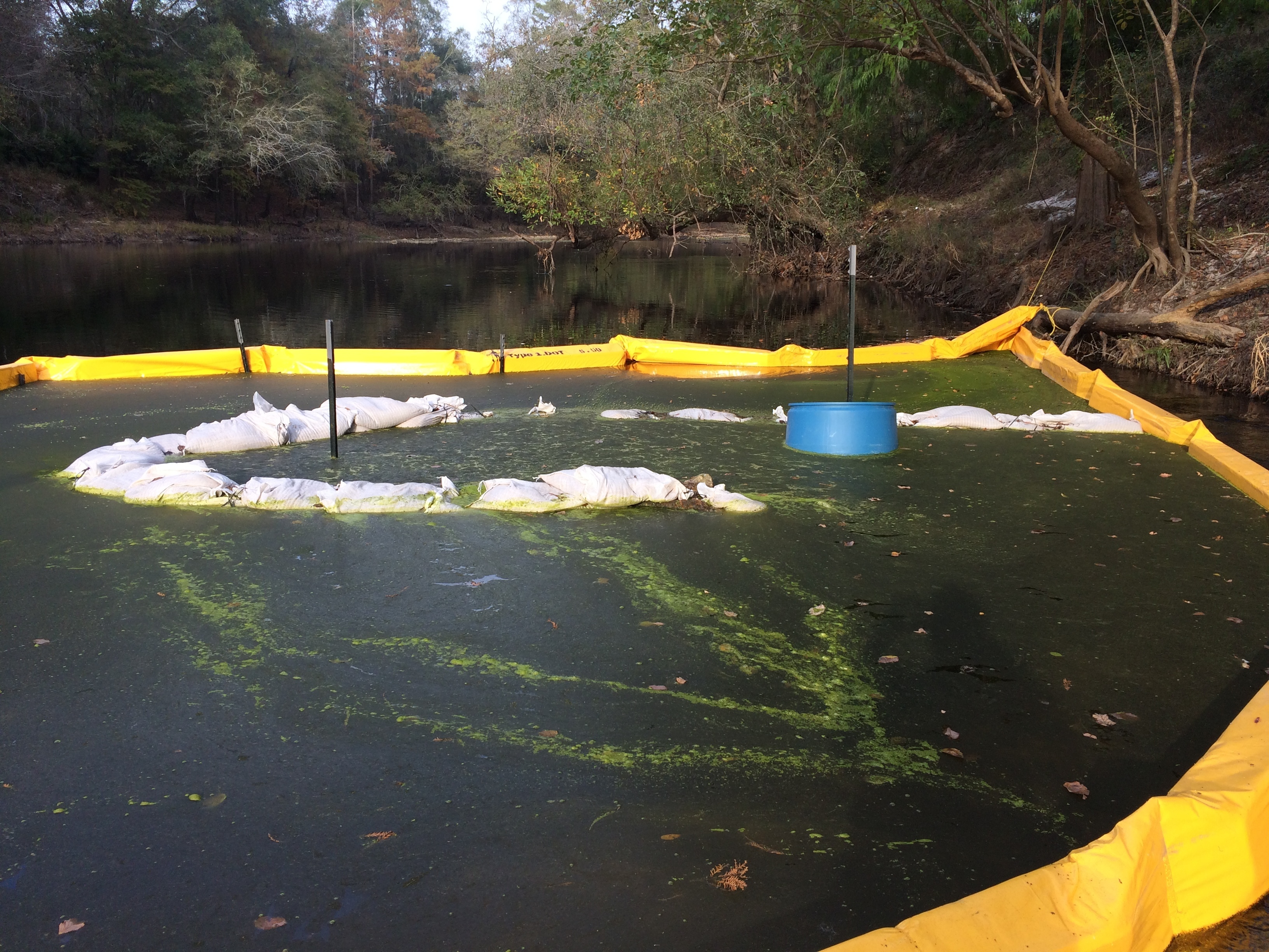 3264x2448 That is not normal Withlacoochee River water, in Sabal Trail still leaking drilling mud into the Withlacoochee River in GA, by Deanna Mericle, 12 November 2016
