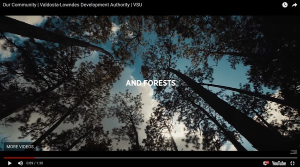 Forests, Video