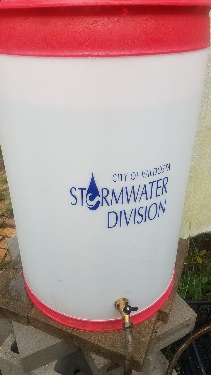 720x1280 City of Valdosta Stormwater Division, Raining, in Rainbarrel from Valdosta Stormwater, by John S. Quarterman, 20 July 2018