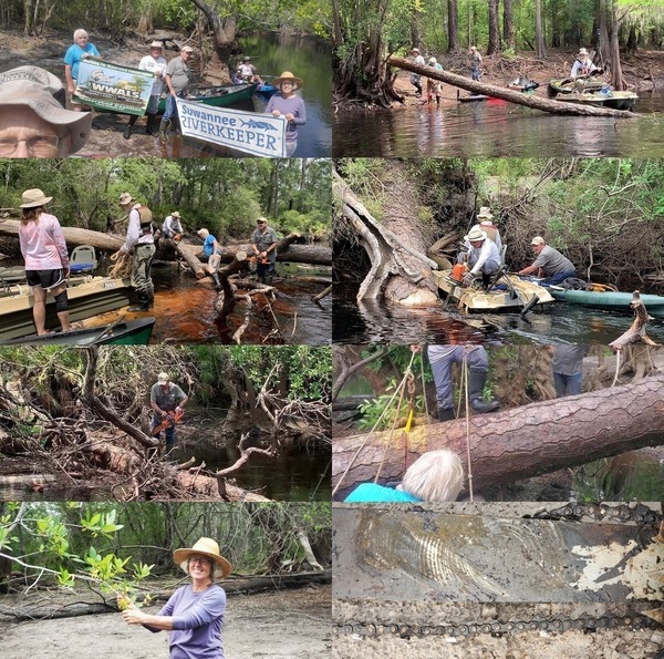 [Suwannee River Chainsaw Outing 2023-06-10]