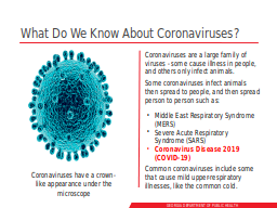 What Do We Know About Coronaviruses?