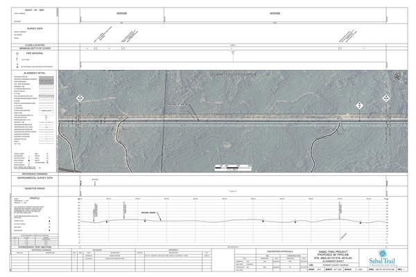 1657-PL-DG-70197-093, STA. 4862+00 TO STA. 4915+00, MP 92.08, MP 93, MP 93.09, KINDER MORGAN PIPELINE, STEWART COUNTY, GEORGIA