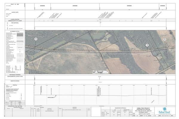 1657-PL-DG-70197-118, STA. 6185+00 TO STA. 6238+00, MP 117.14, MP 118, MP 118.14, KINDER MORGAN PIPELINES, WEBSTER COUNTY, GEORGIA