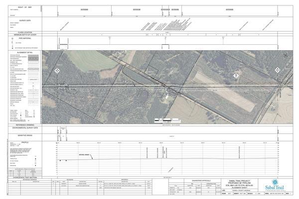 1657-PL-DG-70197-130, STA. 6821+00 TO STA. 6874+00, MP 129.19, MP 130, MP 130.19, 6847+24 CL COX ROAD, KINDER MORGAN PIPELINE, TERRELL COUNTY, GEORGIA