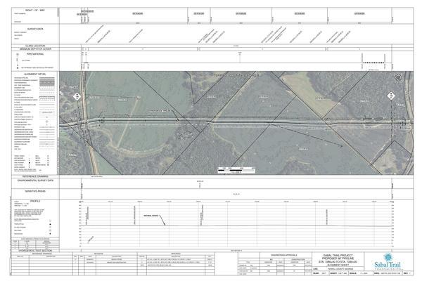 1657-PL-DG-70197-139, STA. 7286+00 TO STA. 7339+00, MP 138, MP 139, (MACEDONIA ROAD), (UT FOWLTOWN CREEK), KINDER MORGAN PIPELINE, CR 155 (MACEDONIA ROAD), TERRELL COUNTY, GEORGIA