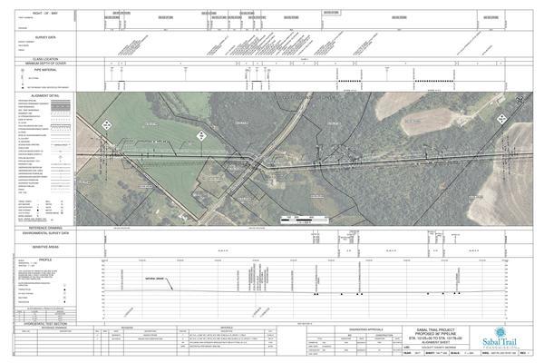 1657-PL-DG-70197-194, STA. 10125+00 TO STA. 10178+00, MP 191.76, MP 192, MP 192.77, KINDER MORGAN PIPELINE, (UT LITTLE CREEK), 10158+12 CL STREAM (LITTLE CREEK), 10127+30 CL SEAY ROAD, 10145+18 CL SR-37, COLQUITT COUNTY, GEORGIA, 31.190656, -83.891650