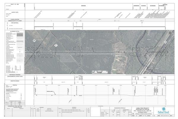 [1657-PL-DG-70197-233, STA. 12188+00 TO STA. 12241+00, MP 230.83, MP 231, MP 231.84, HDD, WIthlacoochee RIver, CL US-84/CR-38 (THOMASVILLE ROAD), CL CSX RAILROAD, US 221, Wiregrass Georgia Parkway, BROOKS & LOWNDES COUNTIES, GEORGIA, 30.795749, -83.453178]