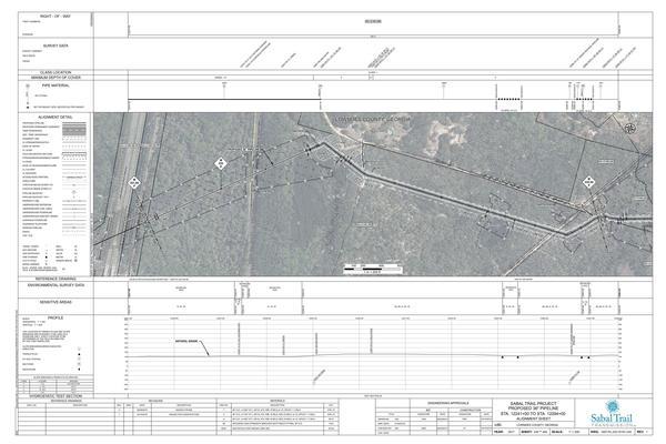 1657-PL-DG-70197-234, STA. 12241+00 TO STA. 12294+00, MP 231.84, MP 232, MP 232.84, CL OLD QUITMAN HIGHWAY, CL MARTIN LANE, KINDER MORGAN PIPELINE, HDD, US 84, US 221, CR 38, Thomasville Road, Wiregrass Georgia Parkway, CSX RR, Withlacoochee River, LOWNDES COUNTY, GEORGIA, 30.789034, -83.447599