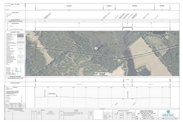 1657-PL-DG-70197-248, STA. 12965+00 TO STA. 13018+00, MP 245.55, MP 246.55, Unnamed Creek, LOWNDES COUNTY, GEORGIA, 30.655717, -83.298604