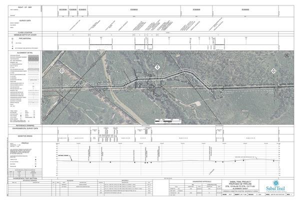 1657-PL-DG-70197-251, STA. 13124+00 TO STA. 13177+00, MP 248.56, MP 249, MP 249.56, KINDER MORGAN PIPELINE, PIPELINE (2.8' COV.), JUMPING GULLY CREEK), GA-FL Line, LOWNDES & HAMILTON COUNTIES, GEORGIA & FLORIDA, 30.628112, -83.267961