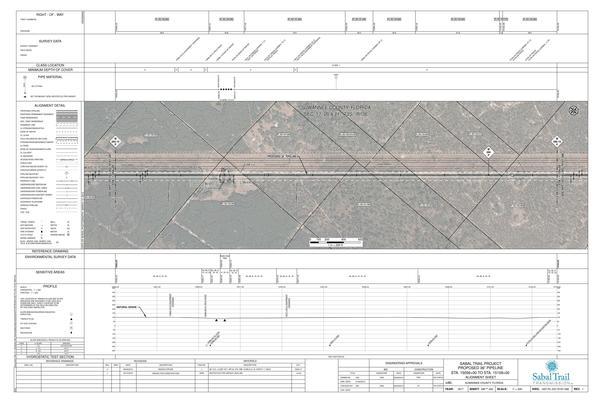 1657-PL-DG-70197-288, STA. 15056+00 TO STA. 15109+00, MP 285.15, MP 286, MP 286.16, SUWANNEE COUNTY, FLORIDA, 30.217003, -83.030732