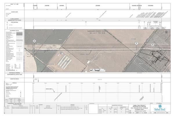 1657-PL-DG-70197-301, STA. 15745+00 TO STA. 15798+00, MP 298.2, END PIPELINE, BEGIN PIPELINE, COMPRESSOR STATION, 15788+81 CL 208TH STREET, 73rd Road, F. Santos Farm, SUWANNEE COUNTY, FLORIDA, 30.080014, -82.892733