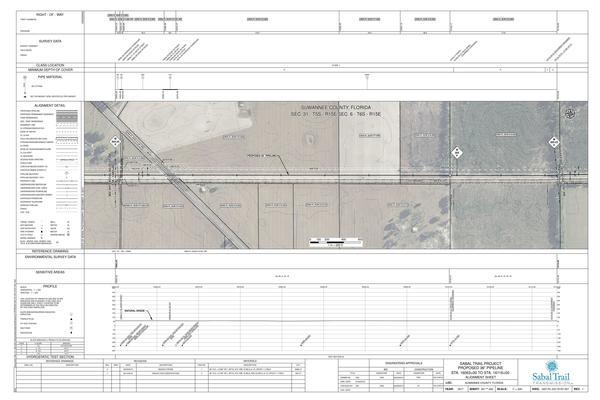 1657-PL-DG-70197-307, STA. 16063+00 TO STA. 16116+00, MP 304.22, MP 305, MP 305.23, 88FGT PIPELINES, 244TH STREET, 16069+59 CL SR-247, 16063+71 CL 244TH STREET, Beachville, SUWANNEE COUNTY, FLORIDA, 30.005814, -82.852355