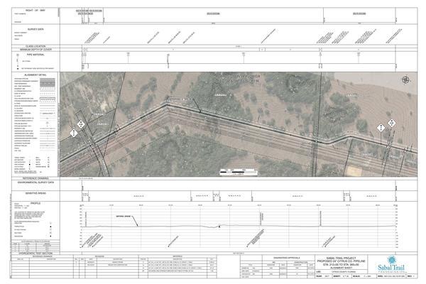 1657-CCL-DG-70197-005, STA. 212+00 TO STA. 265+00, MP 4.02, MP 5.02, CI-0, Blueberry Hill Farm, N. Lecanto Hwy, Tram Rd., PROPOSED 24-inch CITRUS CO. PIPELINE, CITRUS COUNTY, FLORIDA, 28.96292, -82.39452