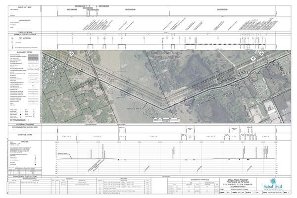 1657-PL-DG-70197-421, STA. 21915+00 TO STA. 21968+00, MP 415.06, TRUCKING ROAD, CR-231, SUMTER COUNTY, FLORIDA, 28.879847, -82.103783