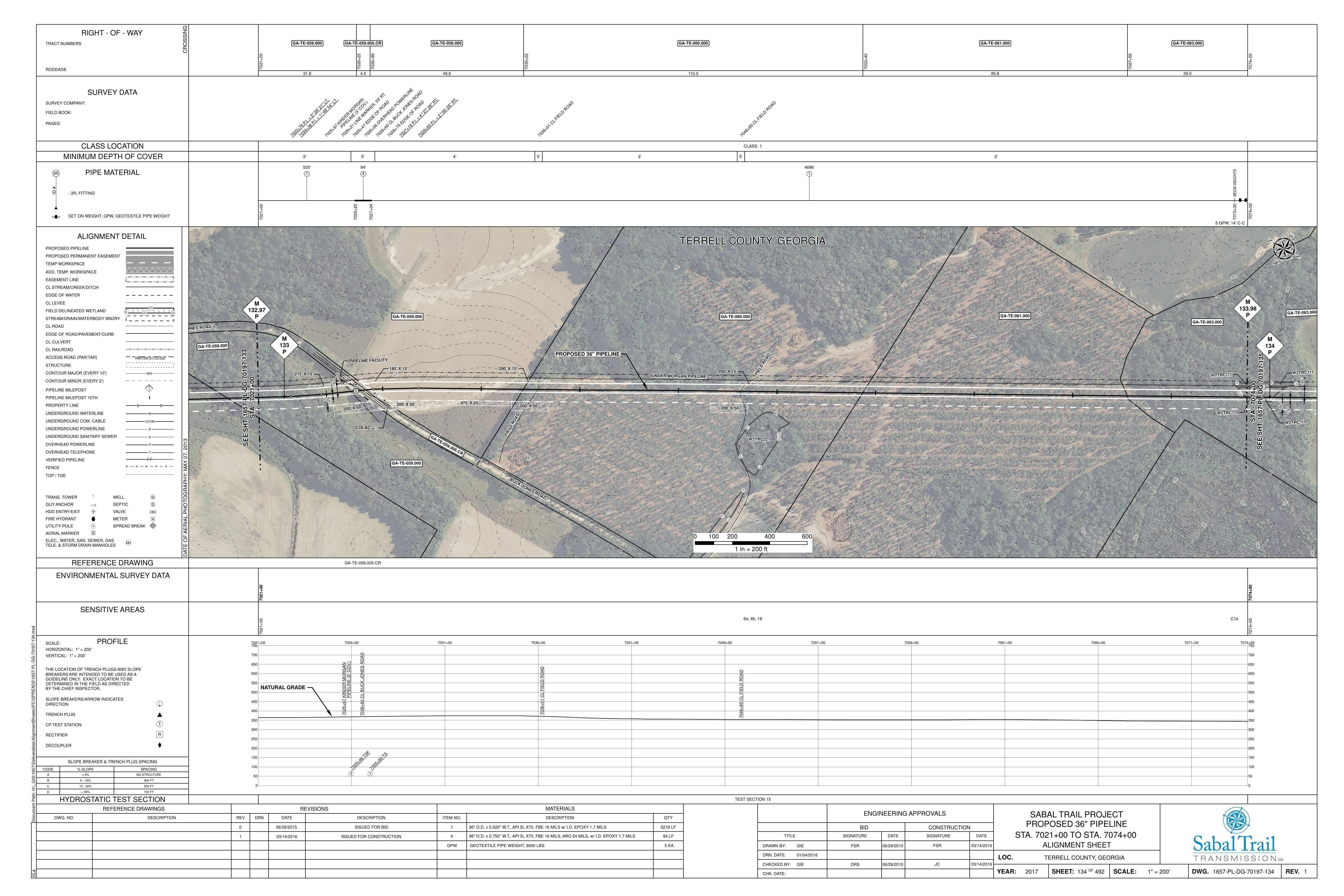 1657-PL-DG-70197-134, STA. 7021+00 TO STA. 7074+00, MP 132.97, MP 133, MP 133.98, MP 134, KINDER MORGAN PIPELINE, PIPELINE FACILITY, 7026+60 CL BUCK JONES ROAD, PIPELINE (2' COV.), TERRELL COUNTY, GEORGIA