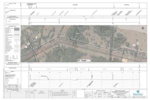 [1657-CCL-DG-70197-005, STA. 212+00 TO STA. 265+00, MP 4.02, MP 5.02, CI-0, Blueberry Hill Farm, N. Lecanto Hwy, Tram Rd., PROPOSED 24-inch CITRUS CO. PIPELINE, CITRUS COUNTY, FLORIDA, 28.96292, -82.39452]