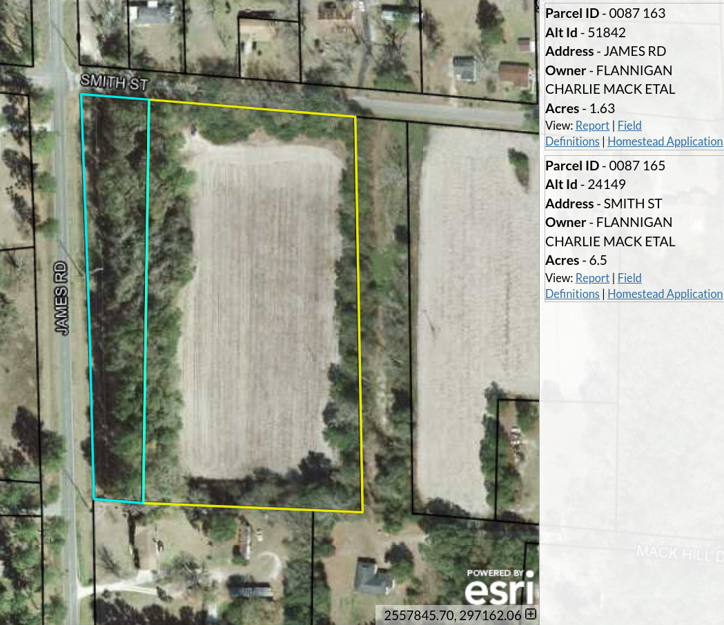 0087 163 & 0087 165, ~8 acres, Current Zoning: R-1 (Low Density Residential) Proposed Zoning: P-D (Planned Development) --Lowndes County Tax Assessors