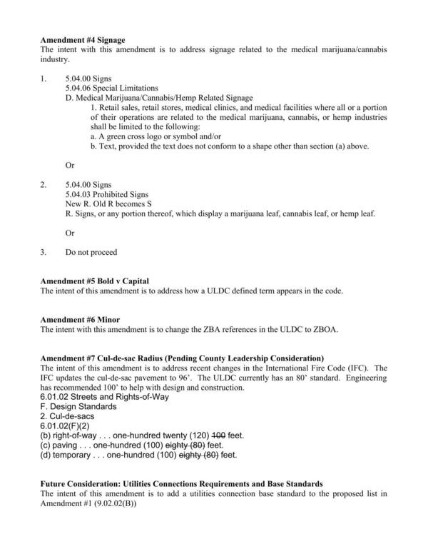 Amendments 4-7 + Future Consideration