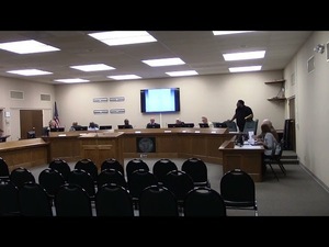 [12. Reappointment of Chip Wildes]