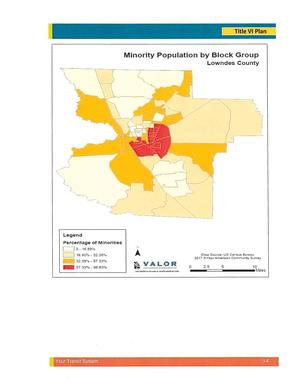 [Minority Population by Block Group]