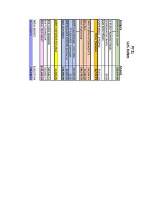 [FY 21 LCAC Budget]