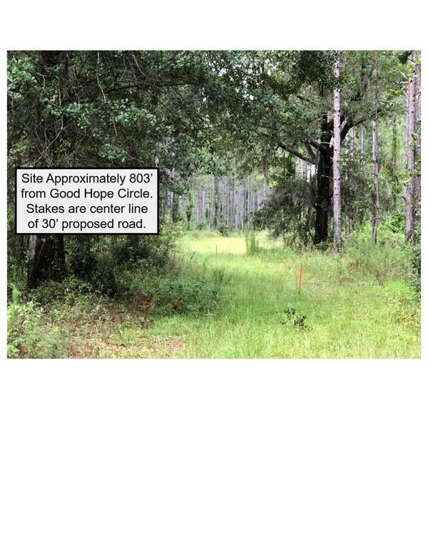 4 Site Approximately 803’ from Good Hope Circle. Stakes are center line of 30’ proposed road.