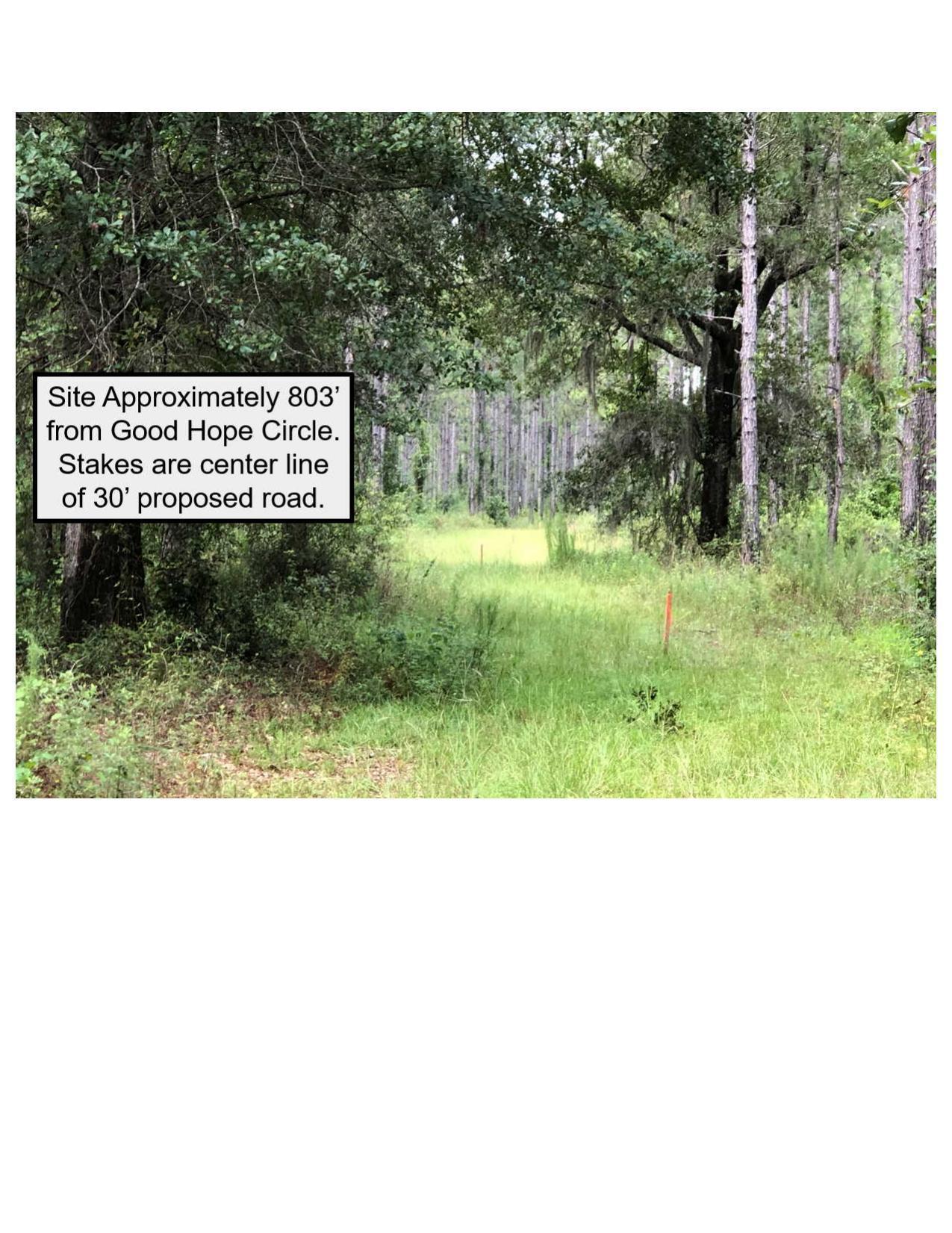 4 Site Approximately 803’ from Good Hope Circle. Stakes are center line of 30’ proposed road.