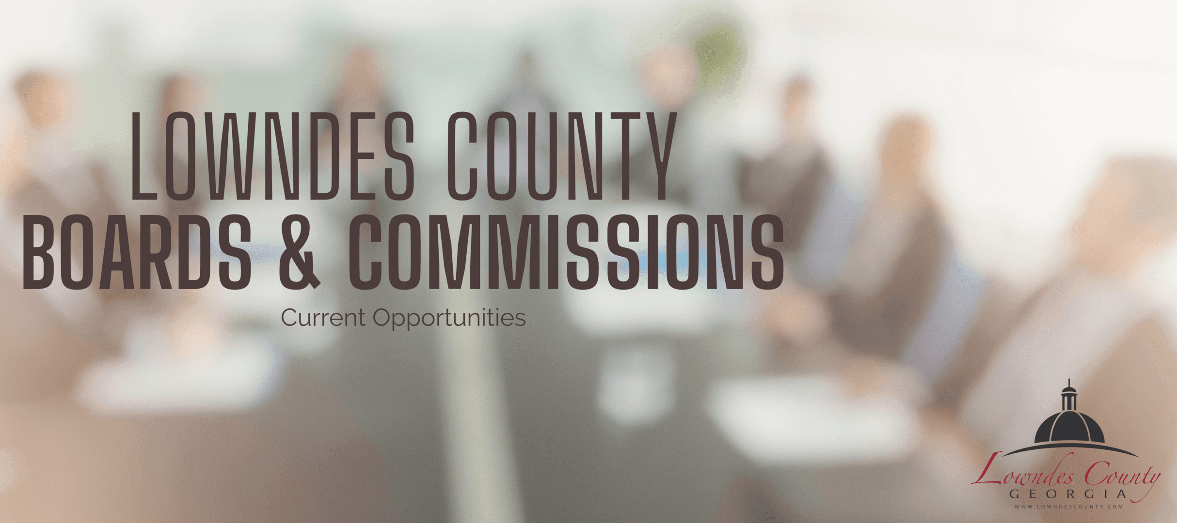 [Lowndes County Boards and Commissions]