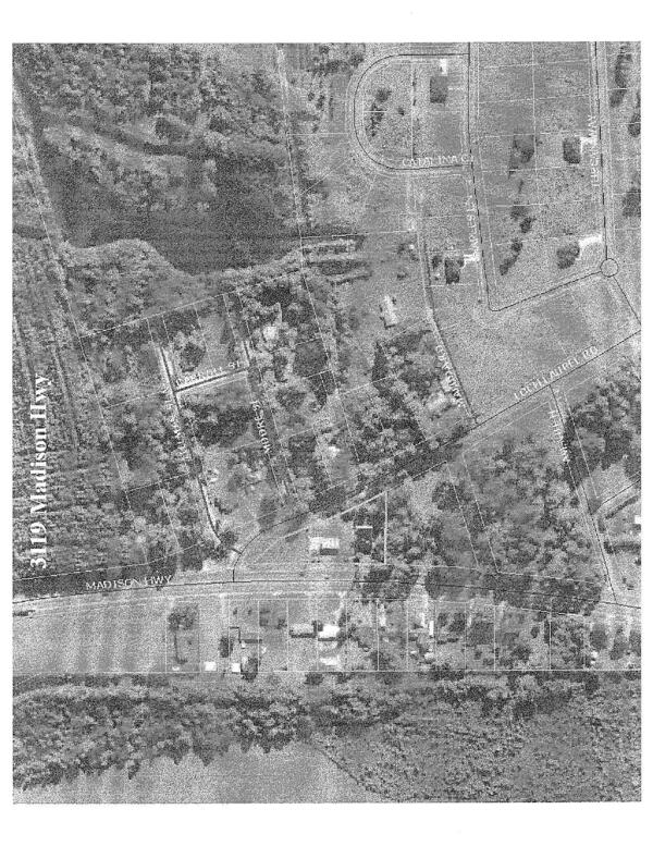 Aerial Map 3119 Madison Hwy