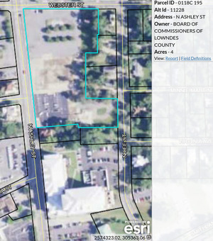 [Map: Parcel 0118C 195, Griner Park, Webster St. @ Ashley St.]