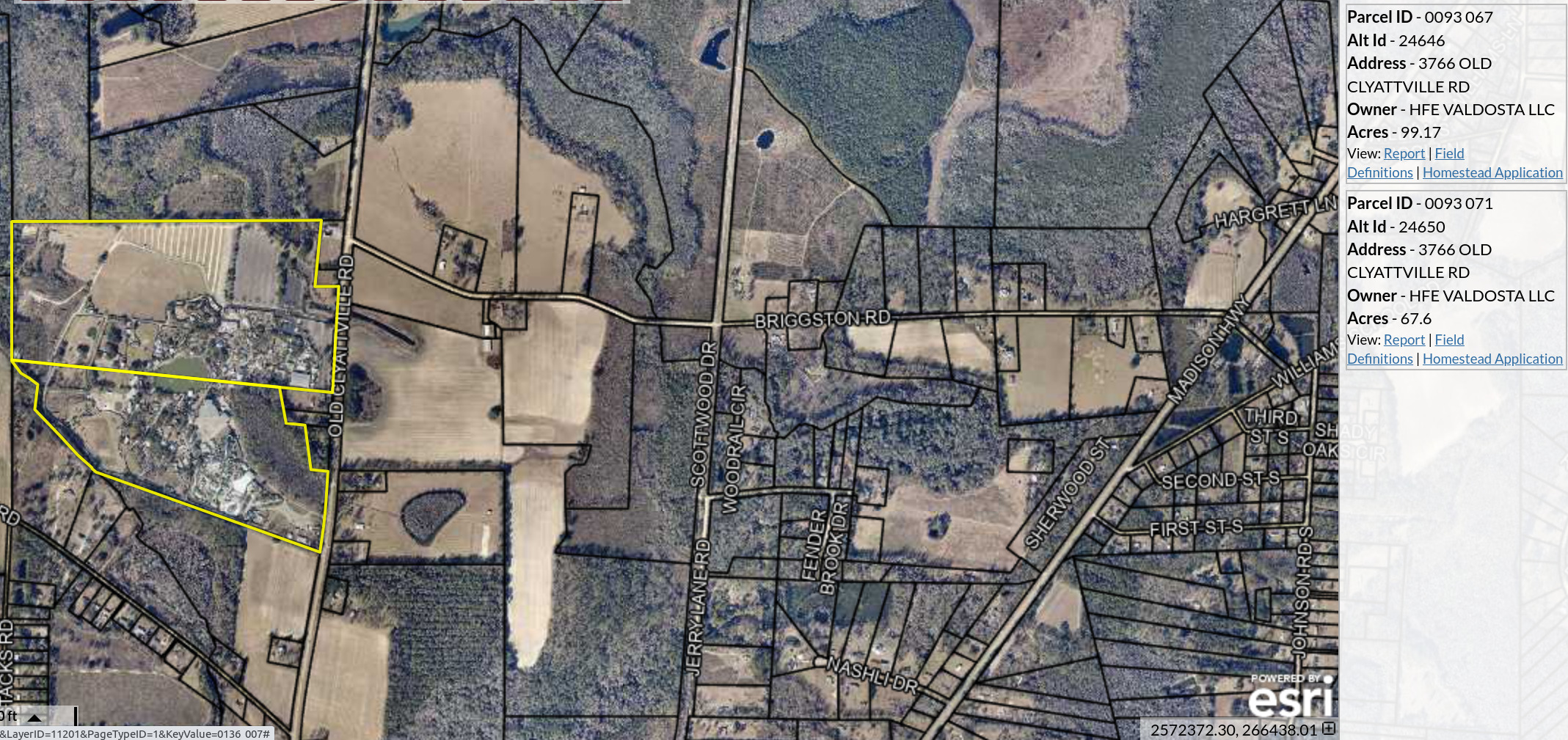 Map: Wild Adventures and Briggston Road in Lowndes County Tax Assessors Map