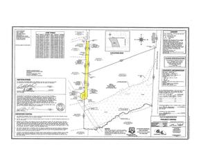 [PLAT OF SUBDIVISION FOR: PROJECT VIKING]